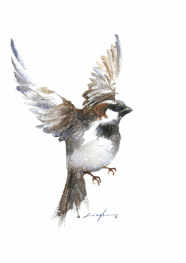 Flying sparrow watercolor Painting by Nitin Singh