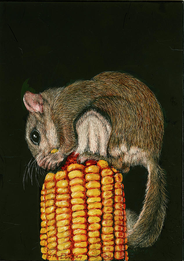 Flying Squirrel's Midnight Snack Painting by Susan Donley