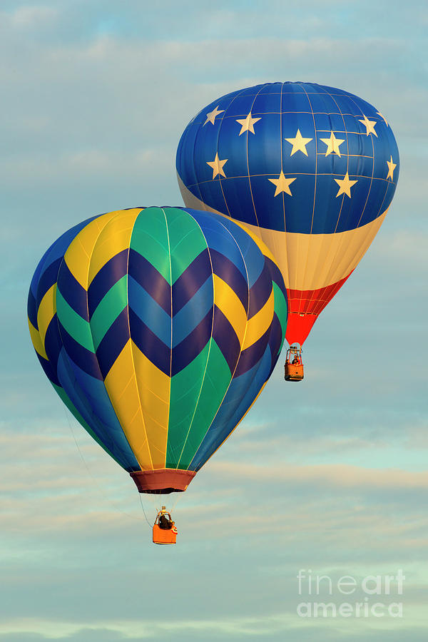 Balloons Photograph - Flying the Colors by Michael Dawson