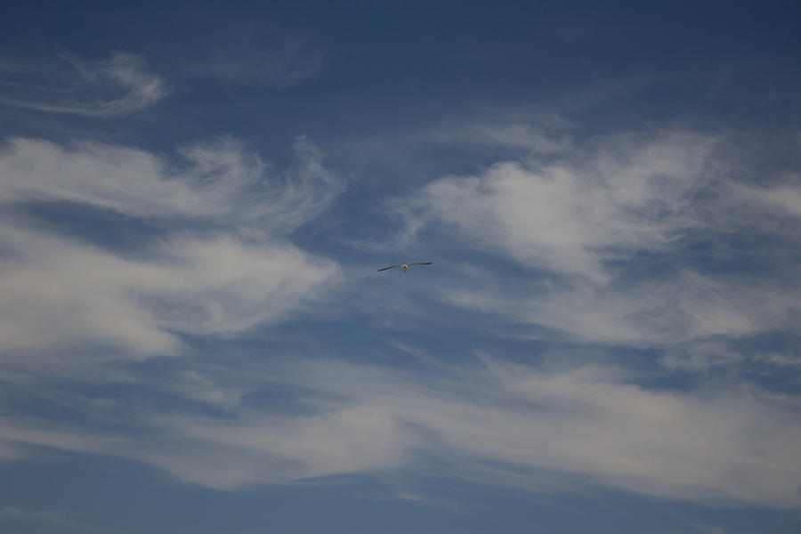 Flying Toward Heaven Photograph by Chris W Photography AKA Christian Wilson