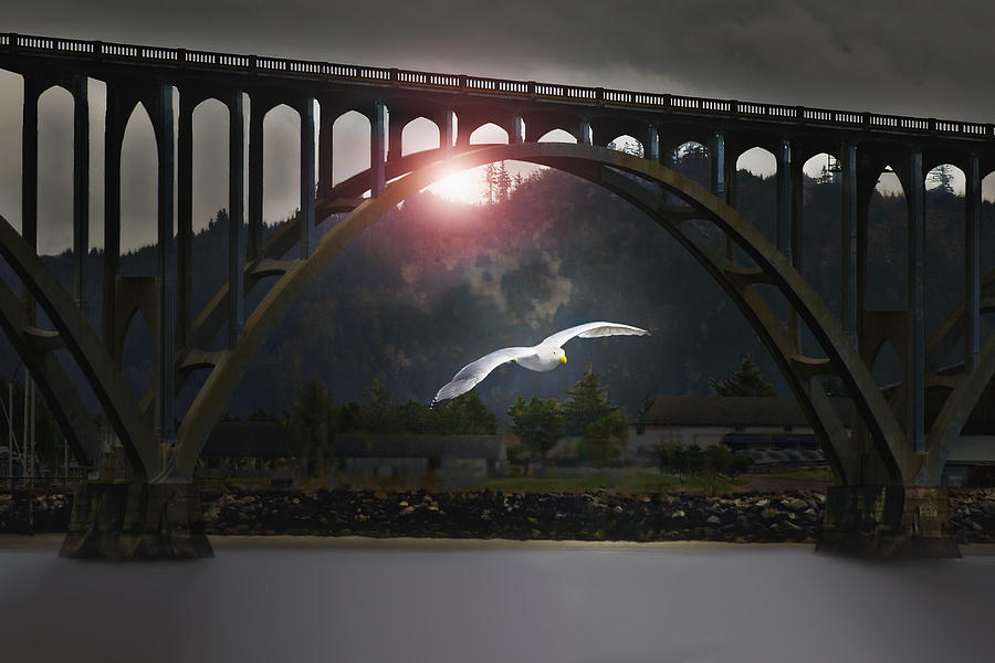Flying Under the Bridge Digital Art by John Christopher