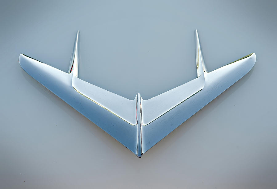 Flying Wing Photograph by Bud Simpson