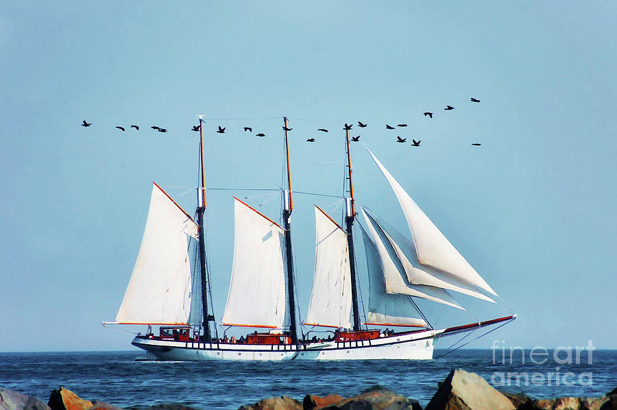 Flying with The Ship Photograph by Elaine Manley