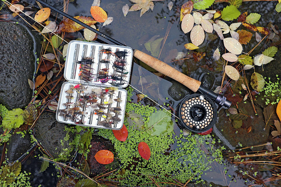 Fall Photograph - Flyrod and flybox by Buddy Mays