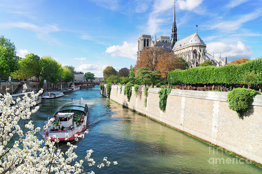 Notre Dame cathedral at Spring Photograph by Anastasy Yarmolovich