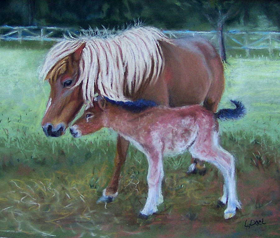 Horse Painting - Foal by Laurie Paci