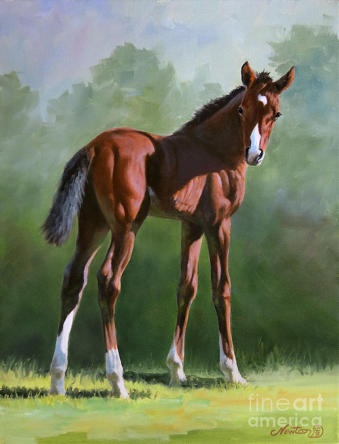 Horse Painting - Foal Study by Jeanne Newton Schoborg