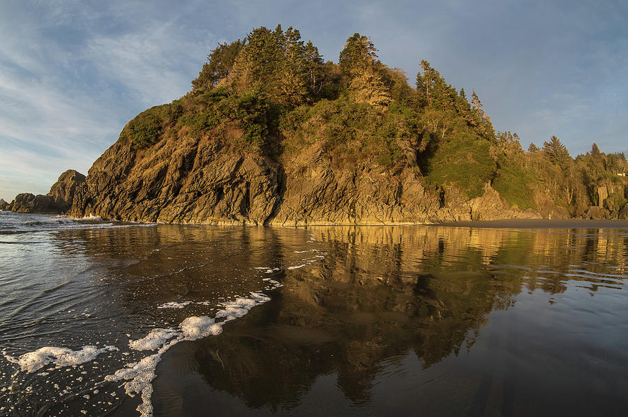 Foam Line to Moonstone Beach Reflections Photograph by Greg Nyquist