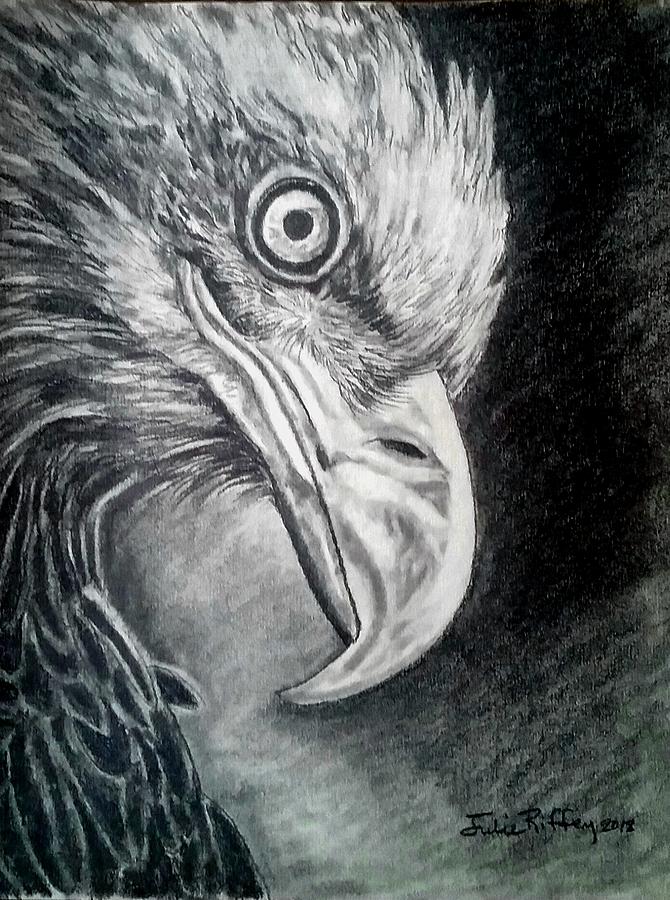 Focus - Eagle Portrait by Julie Brugh Riffey Focus - Eagle Portrait by Julie Brugh Riffey