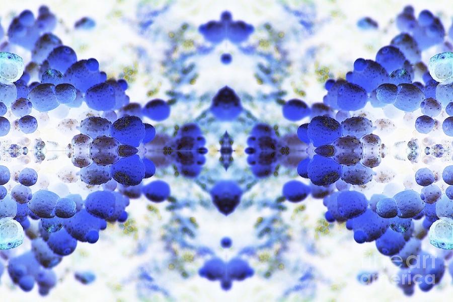 Abstract Digital Art - Focus by Lorles Lifestyles Abstract Digital Art - Focus by Lorles Lifestyles