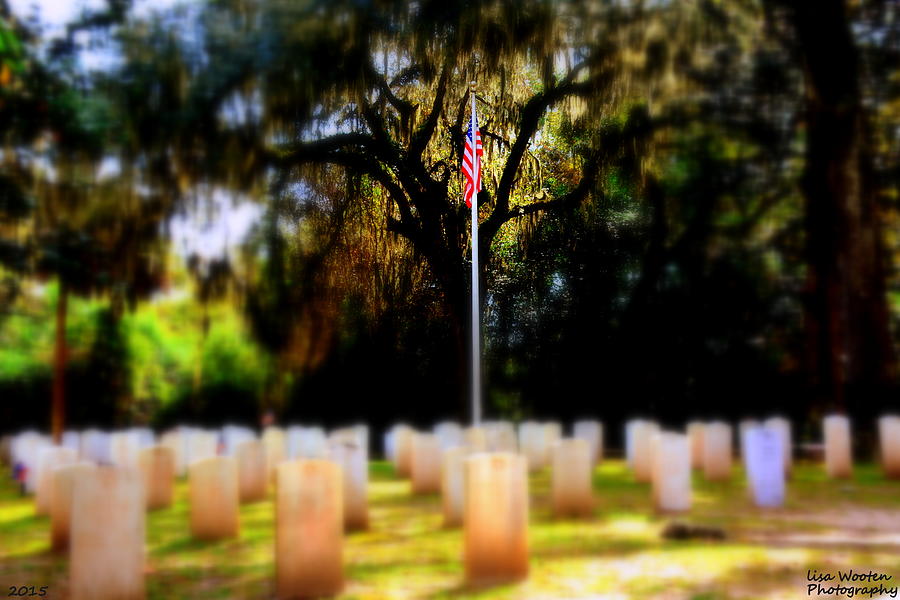 Focus On The Flag Photograph by Lisa Wooten