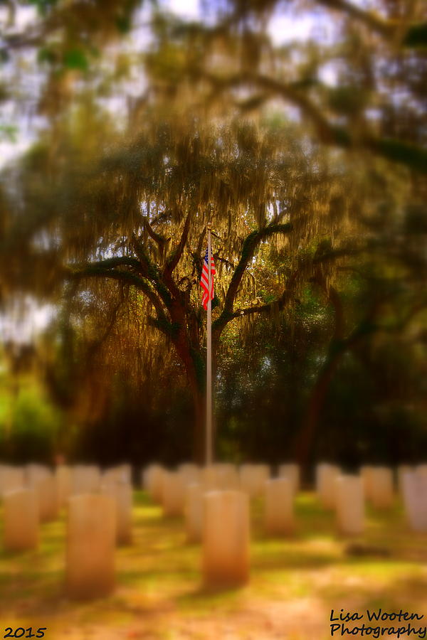 Focus On The Flag Vertical Photograph by Lisa Wooten