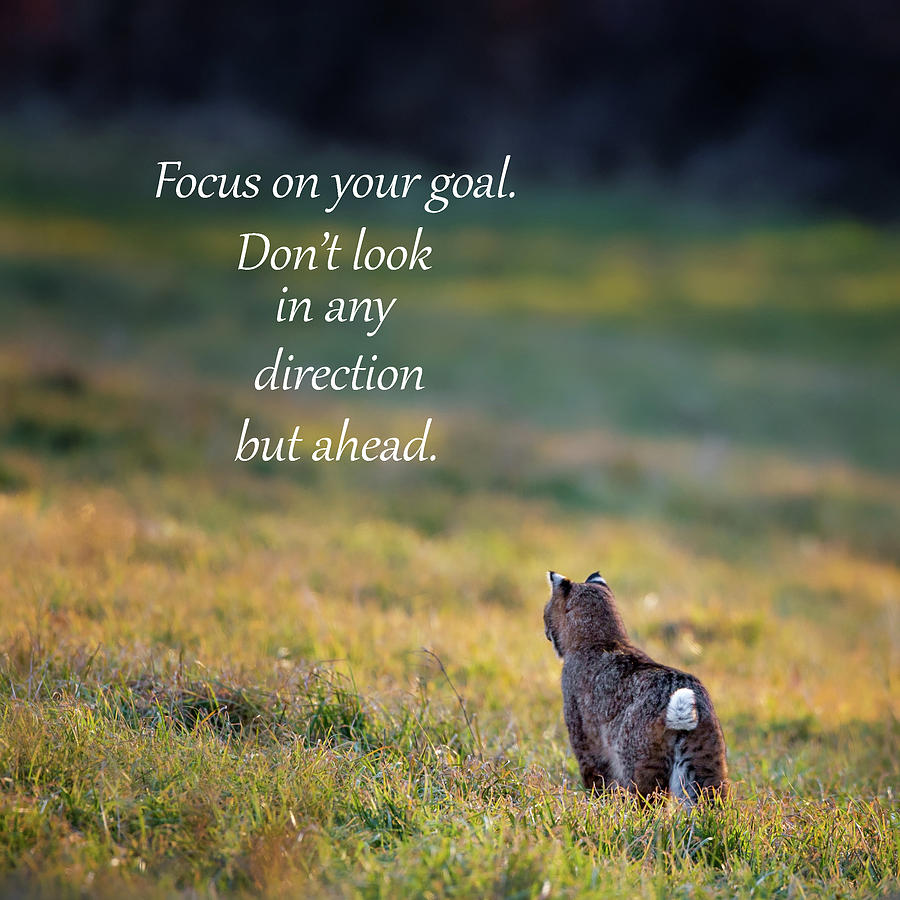 Focus on Your Goal Photograph by Bill Wakeley