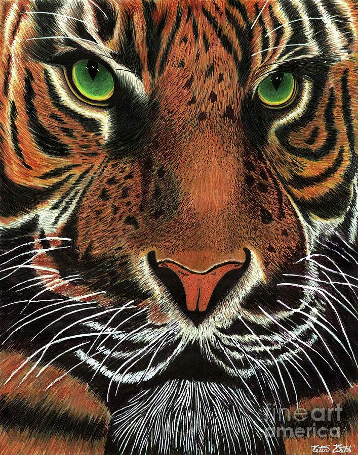 Animal Painting - Focused on You by Peter Piatt