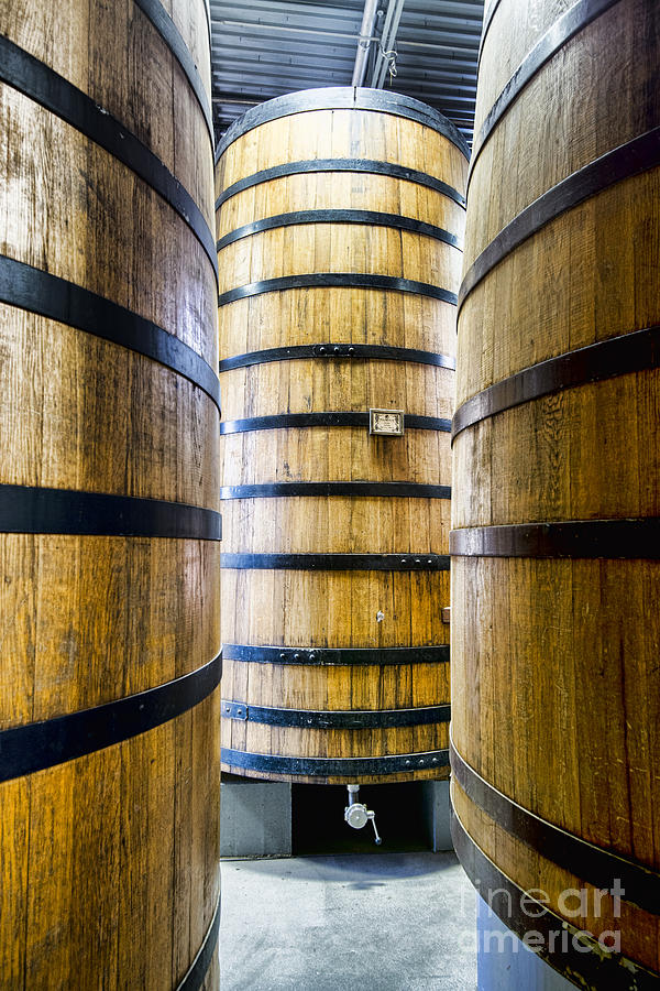 Foeder No. 32 Photograph by Baywest Imaging