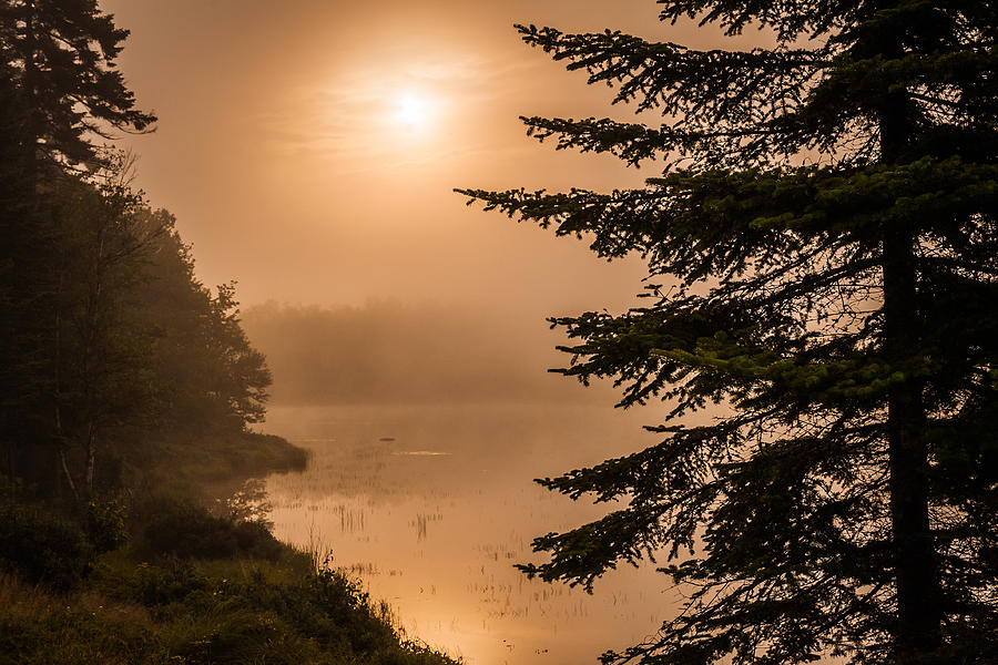 Landscape Photograph - Fog , sun , pond by John Crookes