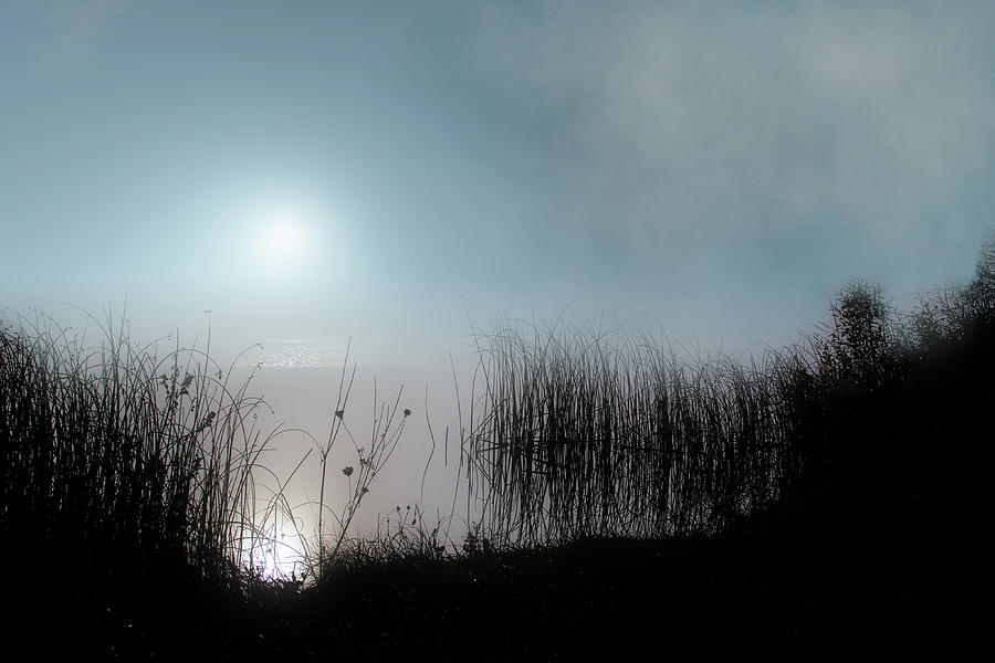 ...Fog by the river Photograph by Aleksandrs Drozdovs