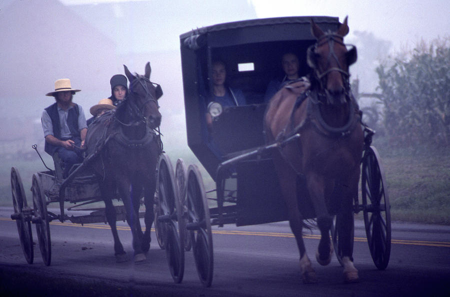 Fog Amish Buggies Photograph by Blair Seitz
