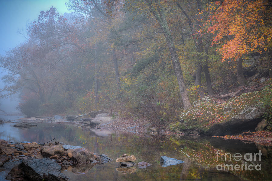 Fog and Color by Larry McMahon Fog and Color by Larry McMahon