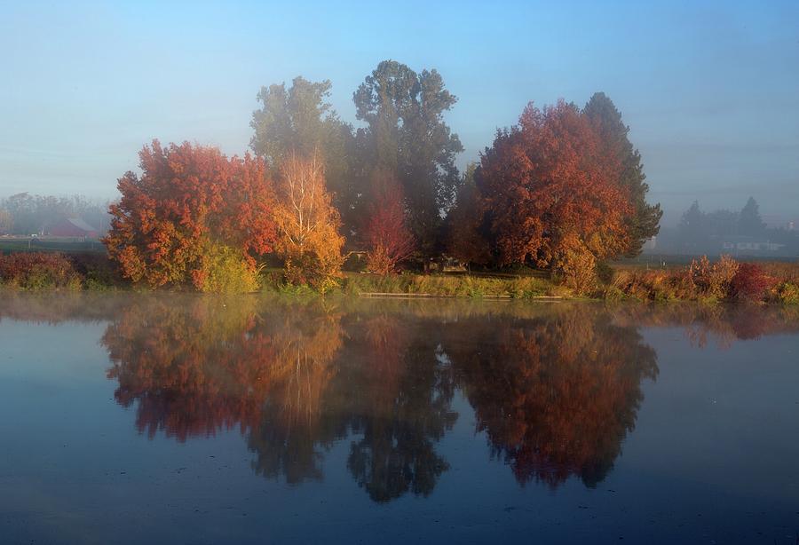 Fog and fall Photograph by Lynn Hopwood