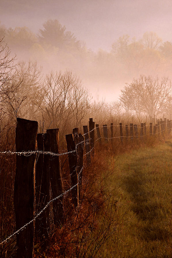 Fog and Fence Line - Great Smoky Mountains National Park Photograph by Mitch Spence