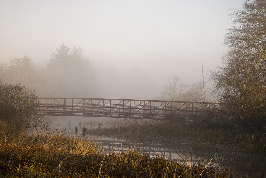 Fog and Foot Bridge Photograph by Robert Potts