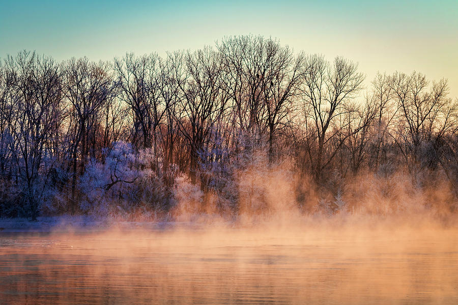 Eagle Photograph - Fog and Frost on the Wisconsin River 2017-1 by Thomas Young