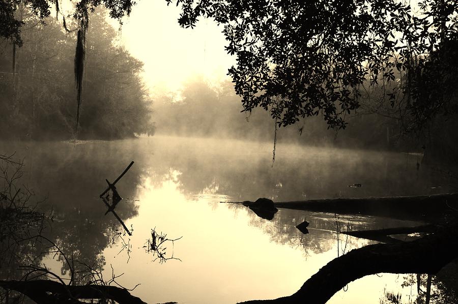 Fog and Light in Sepia Photograph by Warren Thompson