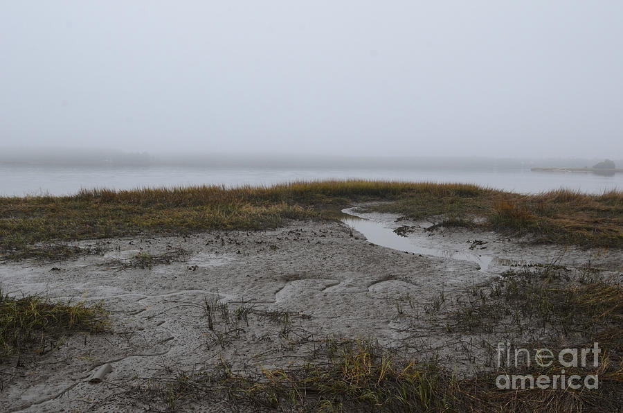 Fog and Low Tide over the Wando River Photograph by Dale Powell