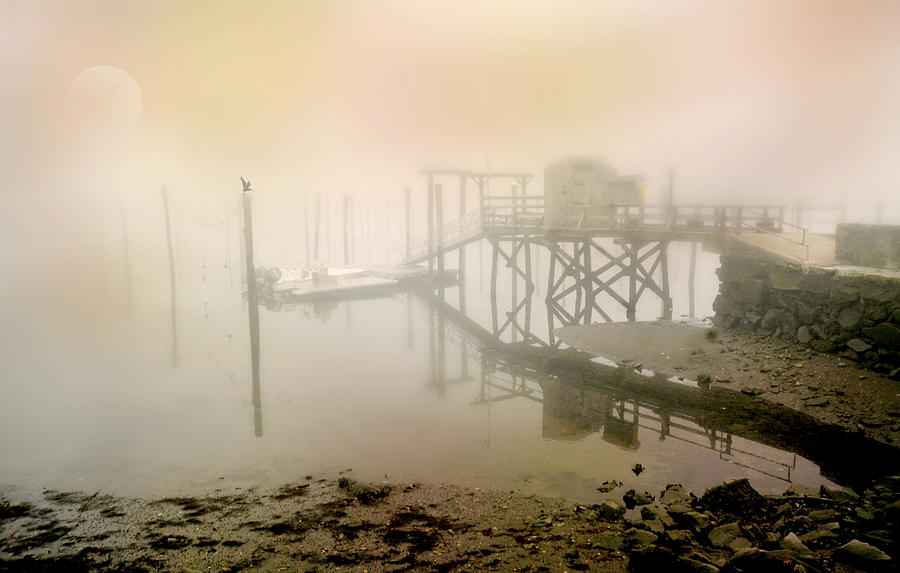 Fog and Pier Photograph by Diana Angstadt