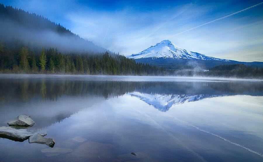 Fog and the lake Photograph by Lynn Hopwood