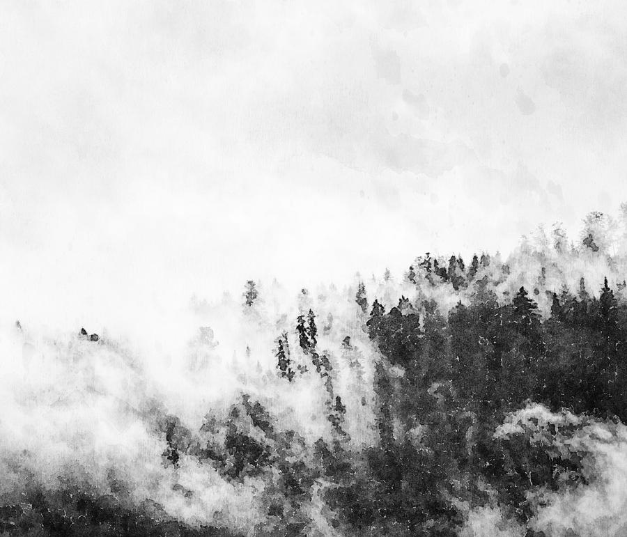 Fog and Trees by Mustapha Dazi Fog and Trees by Mustapha Dazi