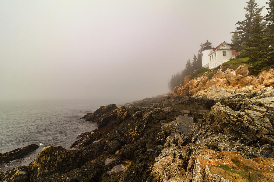 Fog at Bass Harbor Lighthouse Photograph by Jeff Folger