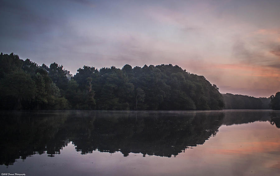 Fog At Dawn on The Apalachicola River Photograph by Debra Forand
