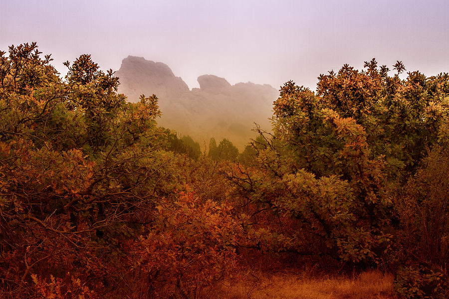 Fog at Garden of the Gods Photograph by Susan Bandy