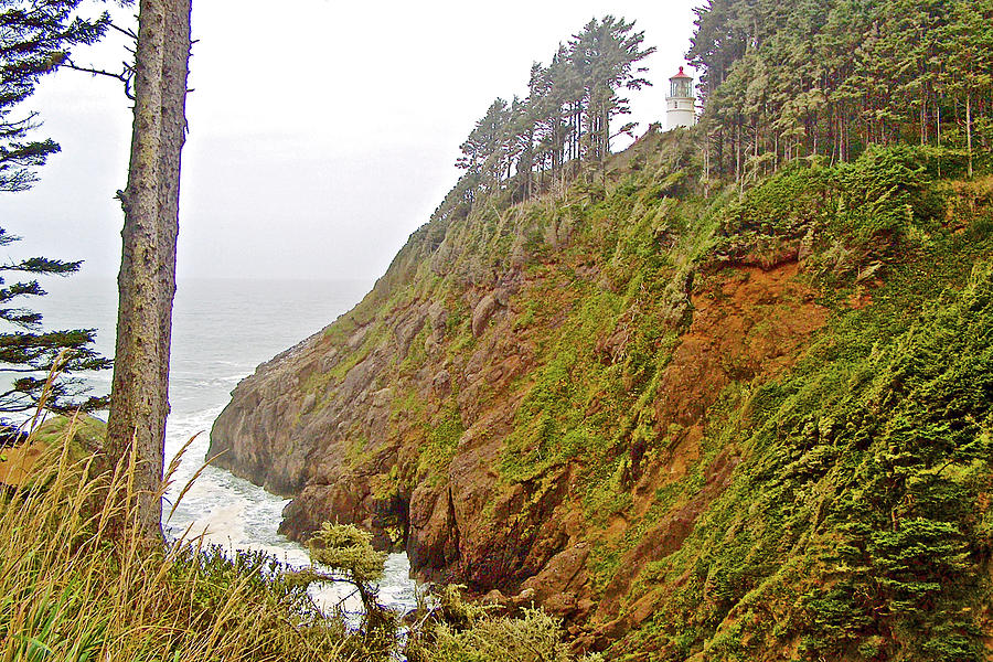 Fog at Heceta Head in Hecata Head State Park, Oregon Photograph by Ruth Hager