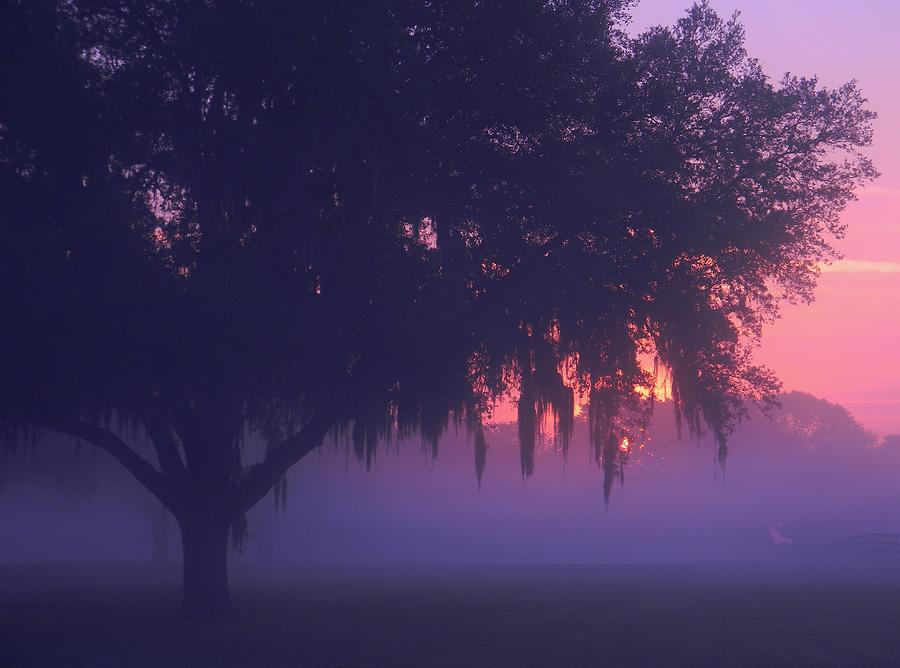 Fog at Sunrise Photograph by Warren Thompson