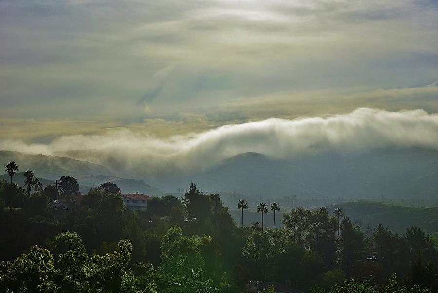 Fog Bank in the Morning IV Photograph by Linda Brody
