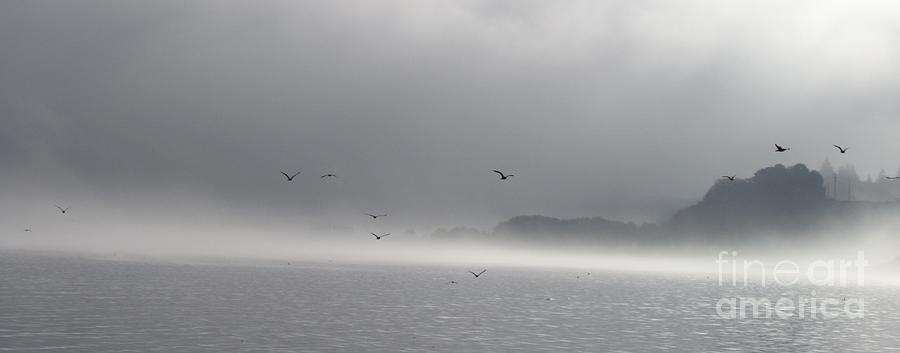 FOG by Barbara Henry FOG by Barbara Henry