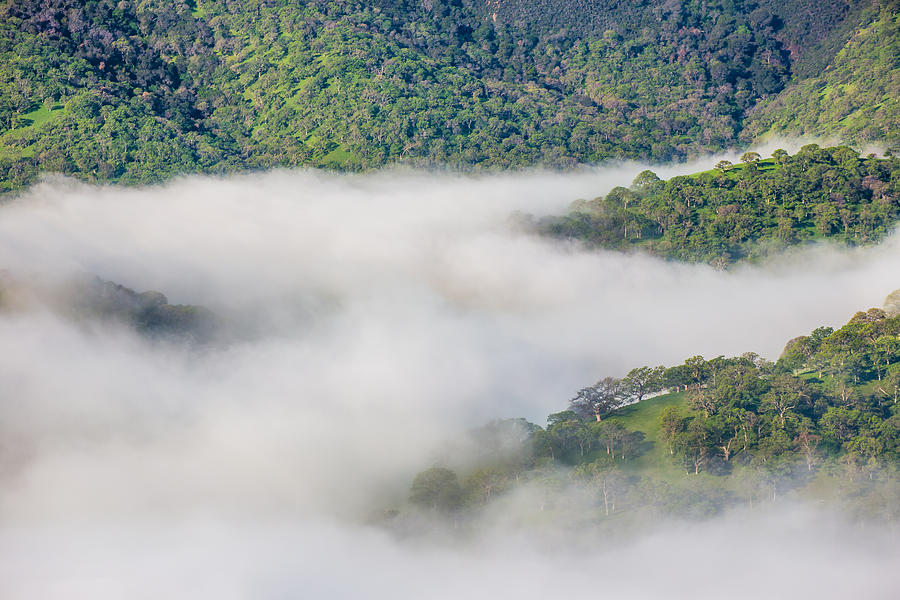 Fog Between Hills Photograph by Marc Crumpler