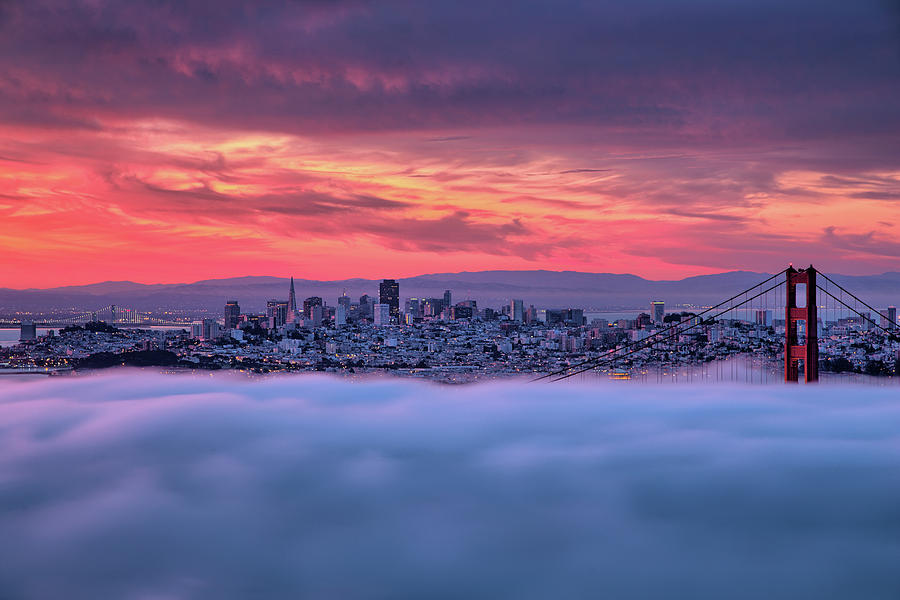 San Francisco Photograph - Fog Candy by Vincent James