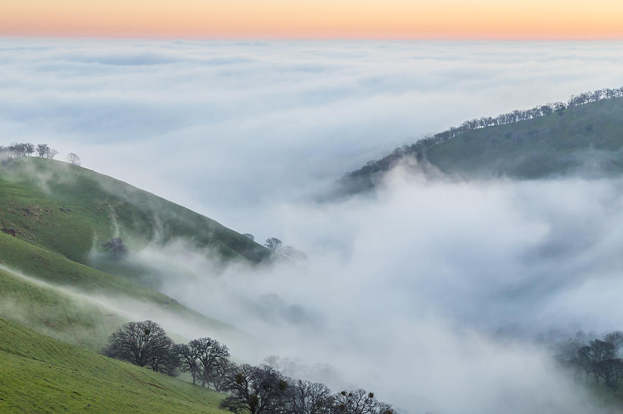 Fog Covered Valley Photograph by Marc Crumpler