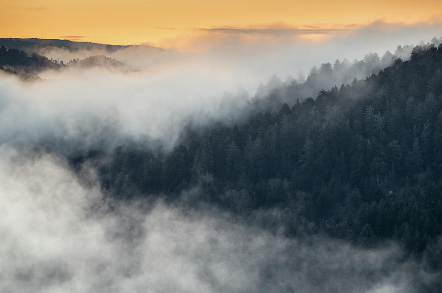 Fog Enveloped Hills at Sunrise Photograph by Greg Nyquist