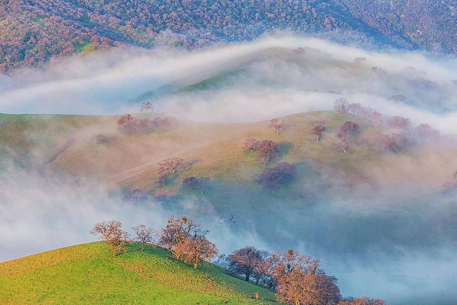 Fog Flowing Over East Bay Hills Photograph by Marc Crumpler