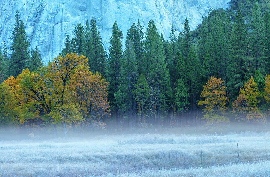 Fog-Frost-Fall Photograph by Jonathan Nguyen