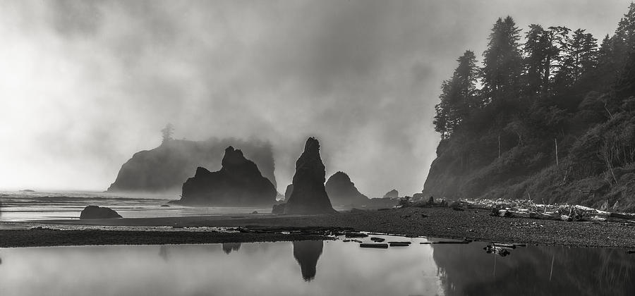 Fog In Force Photograph by Jon Glaser