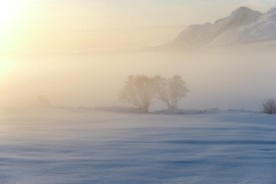 Morning Mist In Lofoten 2 #2 Photograph by Dubi Roman