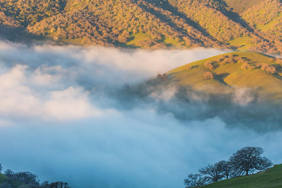 Fog In  Round Valley Photograph by Marc Crumpler