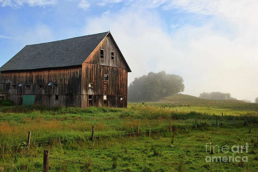 Barns Photograph - Fog in the field by Diana Nault
