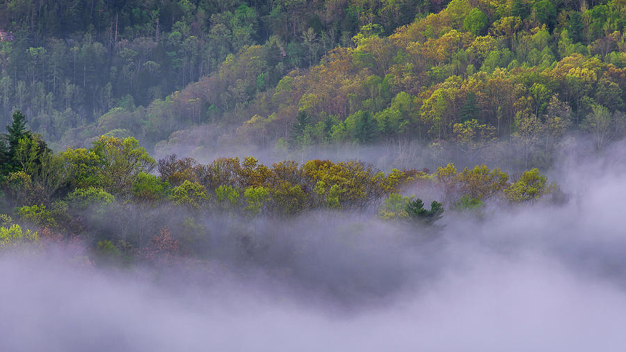 Fog in the hills Photograph by Ulrich Burkhalter